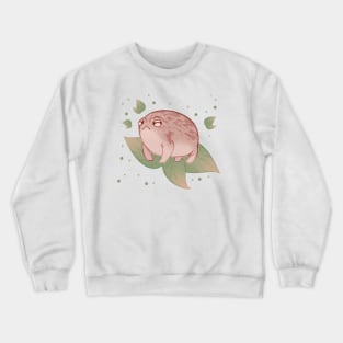 Desert Rain Frog V2 Crewneck Sweatshirt